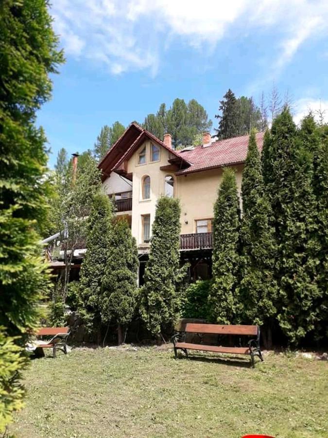 Vila Iulia Vatra Dornei Eksteriør bilde